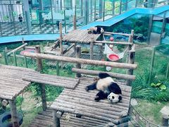 -大连森林动物园