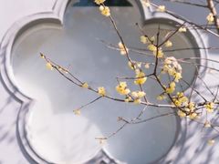 -无锡梅园公园