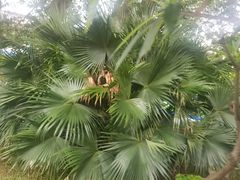 -万达广场(东莞厚街店)