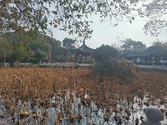 -丝绸小镇荻港古村