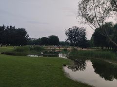 -裕华世纪公园