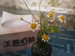 -美丽心情蛋糕(江苏路店)