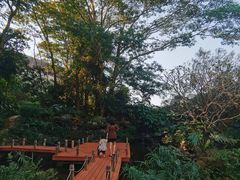 -深圳隐秀山居酒店