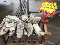 -蚝专家(北滘店)