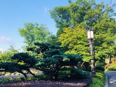 -上海皇廷花园酒店·西餐厅·自助餐