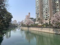 -成都市活水公园