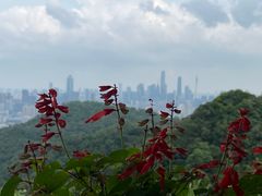 -广州市白云山风景名胜区