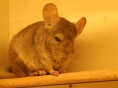 -龙猫仔乐园(惠福东路店)