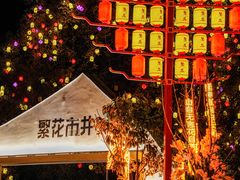 -贵州百里杜鹃风景名胜区