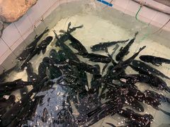 -春盛渔府(牛首山店)
