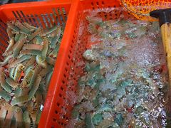 -79号渔船海鲜饭店(宝安店)