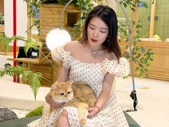 -帕帕拉兹宠物(亚洲旗舰店)