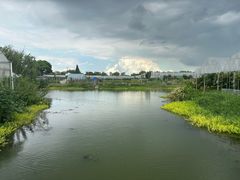 -马陆小张葡萄园农家乐