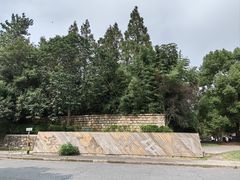 -上海滨江森林公园