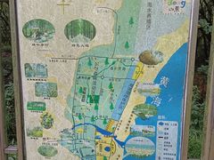 -日照海滨国家森林公园