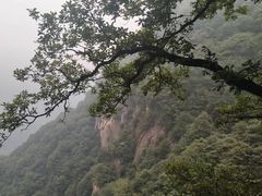 -陕西省红河谷森林公园