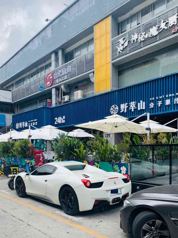 野萃山·分子果汁(十亩地店)-"野萃山分子果汁我的宝藏店0202 十.