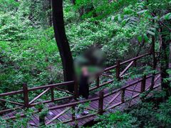 -大岭沟猕猴桃谷风景区