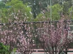 -观澜湖生态运动公社