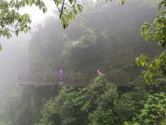 -崀山风景名胜区