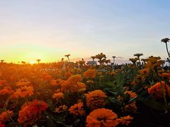 -敦煌莫高国际机场