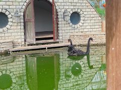 -南宫五洲植物乐园