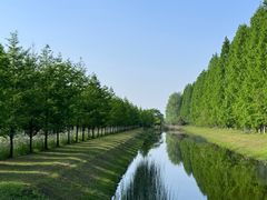 -黄海国家森林公园