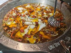 -雲蜀龙阁·金牌水煮鱼(方庄店)