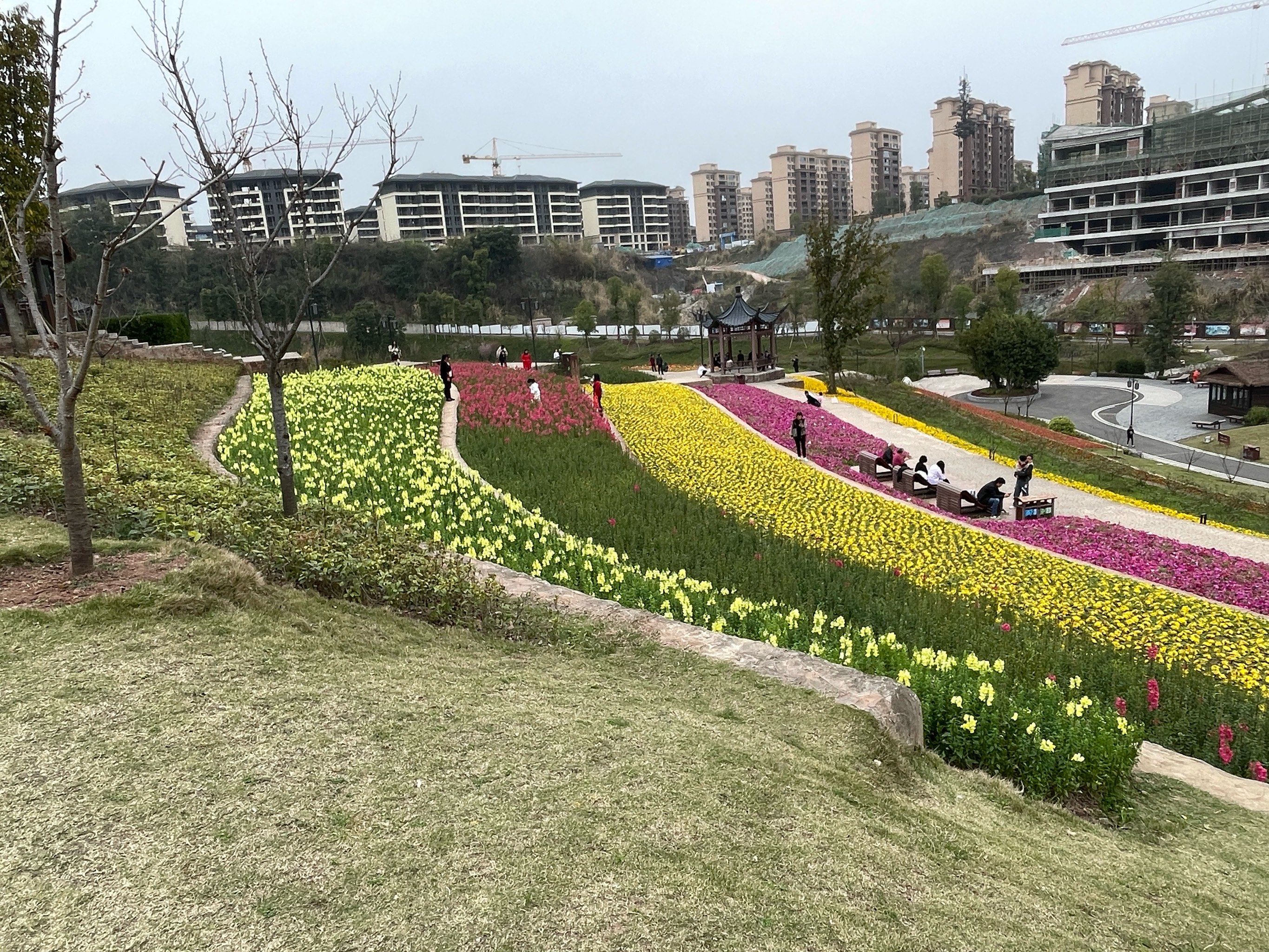 璧山的公园还是这么漂亮,璧山古道湾公园的花海