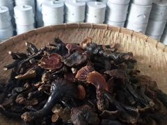 蘑菇儿-万尾农贸市场