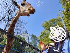 -荆州中山公园动物园