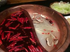 -宽巷子成都火锅(南站店)