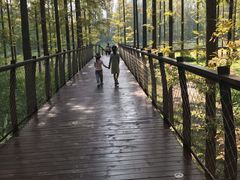 -黄海国家森林公园