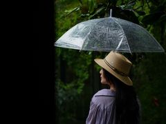 -中国茶叶博物馆(双峰馆区)