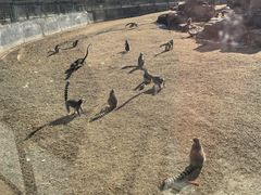 -秦皇岛野生动物园