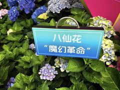-杭州少年儿童公园