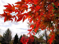 -长春世界雕塑园冰雪艺术天地