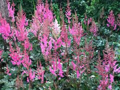 -长春公园(普阳街道)