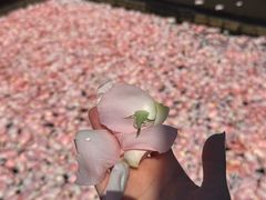 -东方华地城湿地温泉度假区