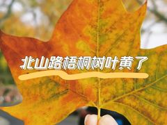 -北山街历史文化街区