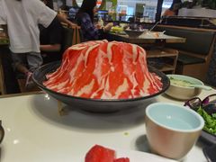 -洪氏嗨捞·猪肚鸡火锅(阳光天地店)