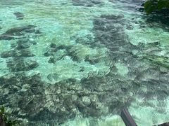 -卡帕莱度假村(西巴丹岛)