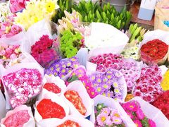 -秦美花卉(天朗·莱茵小城2期店)