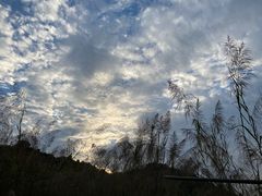 -广州市帽峰山景区
