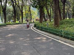 -东莞植物园