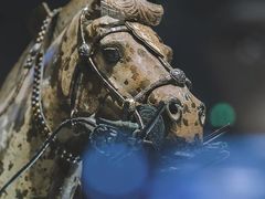 -秦始皇帝陵博物院-丽山园