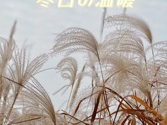 -梁鸿国家湿地公园