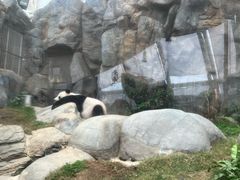 -香港海洋公园
