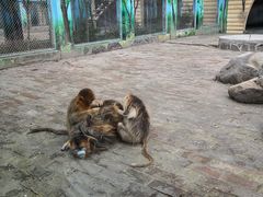 -西安秦岭野生动物园