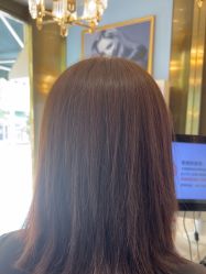 -YESIDO椰岛造型